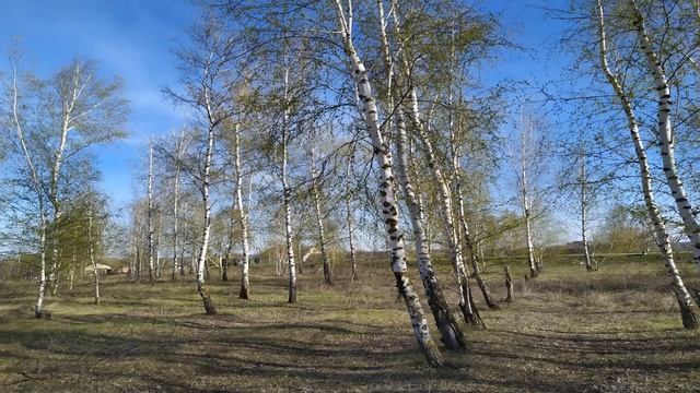 1 мая.ДЕНЬ КУЗЬМЫ.Приметы старины. Традиции дня.