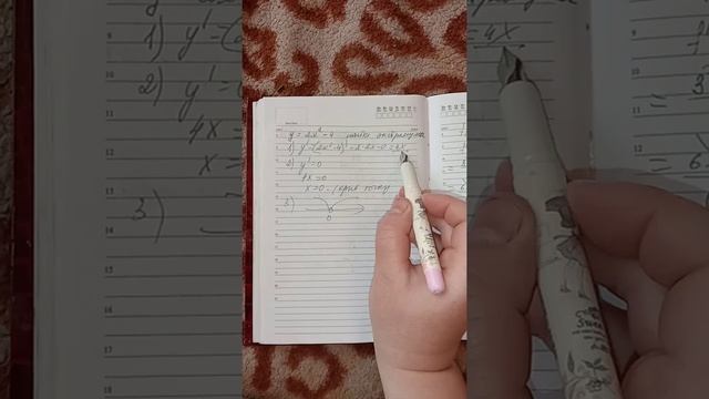 Находим экстремумы. Точки max И min❗❗❗?