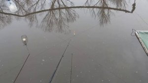 Зимняя рыбалка на форель