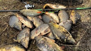 ТАКУЮ РЫБАЛКУ НЕ ЗАБУДЕШЬ! Рыбалка на поплавочную удочку Ловля весной