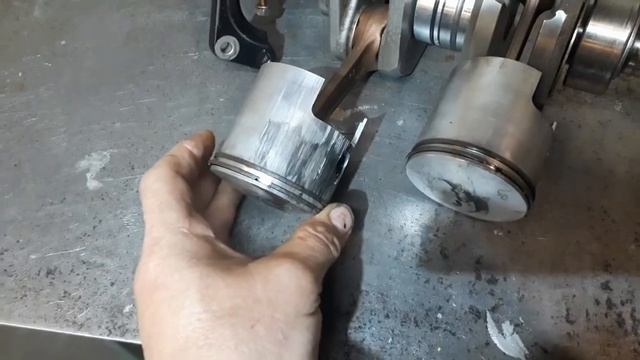 TOHATSU м40с не сошлись в цене