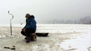 Ловля ротана зимой на озере
