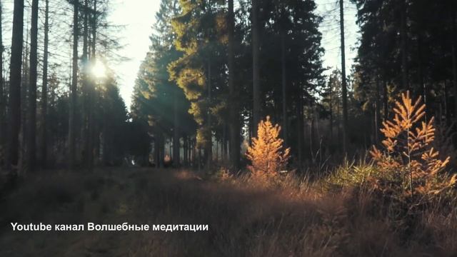 Луиза Хей - Аффирмация на здоровье и исцеление?