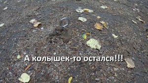 Винтовые колышки для палатки (тест на грунте)