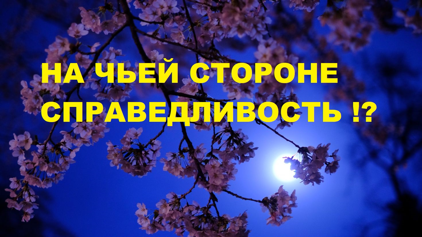 НА ЧЬЕЙ СТОРОНЕ СПРАВЕДЛИВОСТЬ / Таро расклад