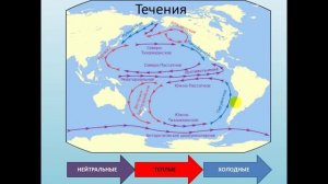 Тихий океан. География 7 класс