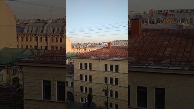 Кирочная улица #санктпетербург #домбака#фкр #мнесверхувидновсетытакизнай