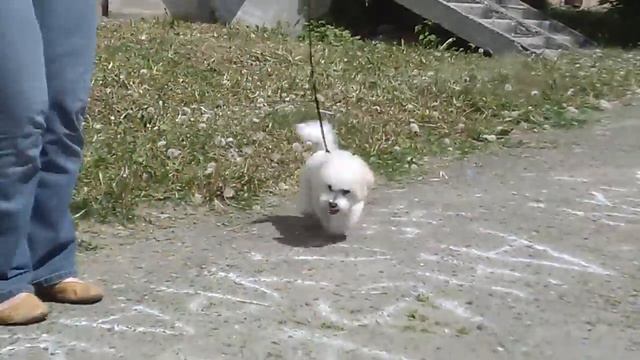 Жессеми почти 5 месяцев смотреть онлайн