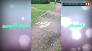 Чудеса Аллаха смотрите ради АЛЛАХА