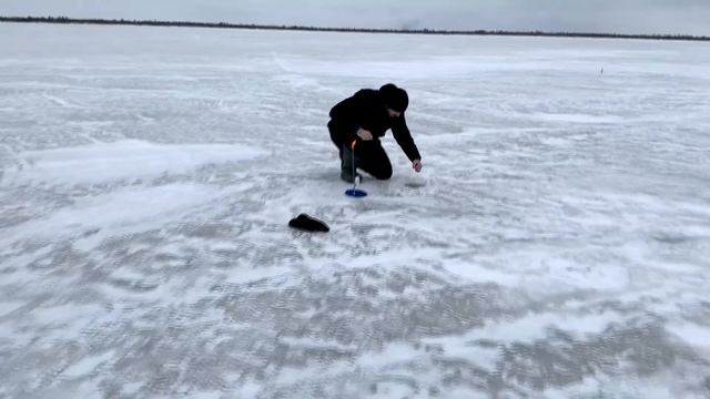 Как ушла трофейная Щука /Подвела Китайская жерлица /рыбалка в ХМАО смотреть онлайн