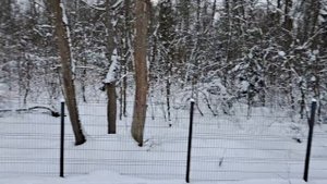 Силовой каркас дома. Барн Хаус.