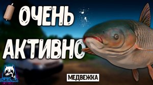 RF4 РЕЗКО ВНЕЗАПНЫЕ ОЧЕНЬ АКТИВНЫЕ ПОКЛЁВКИ #рр4