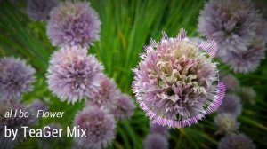 al l bo - Flower (TeaGer Mix).mp4
