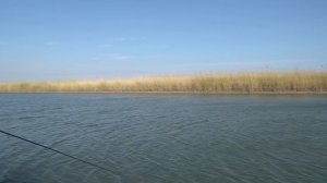 Карась на фидер осенью. Рыбалка на реке Маныч!