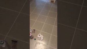 Смывка эпоксидной затирки SYNTILOR Epossido видео отзыв