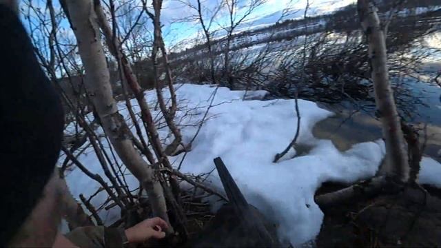 Мурманская область , весна , охота 2022 г. , любопытная ондатра )) смотреть онлайн