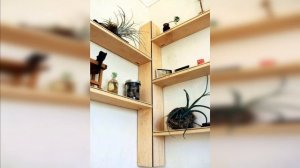 Угловые полки.