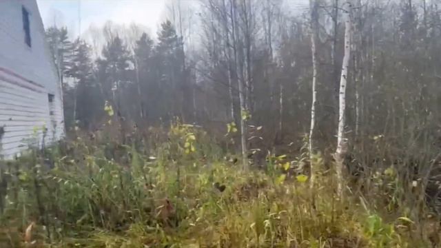 В продаже участок 15 соток для строительства вашего нового дома. Рошаль. смотреть онлайн