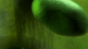 строение растительной клетки 1