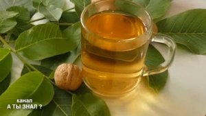 Что творит ЛИСТ ГРЕЦКОГО ОРЕХА / лист ГРЕЦКОГО ОРЕХА ПОЛЬЗА