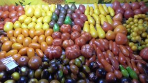 Лучшие засолочные сорта. Томат Сливка Бендрика порадует вас при цельноплодном консервировании.