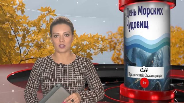 ТРИ ДНЯ ВЫХОДНЫХ.ПЛАНИРУЕМ РАЗВЛЕЧЕНИЯ:2,3,4 ноября