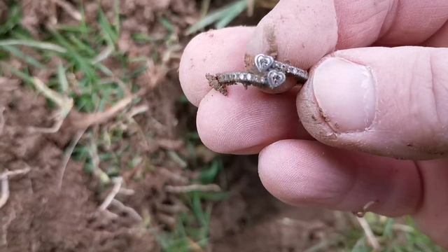 Minelab Go-Find 44 Metal Detector - Ring Find смотреть онлайн