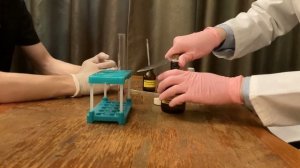 Изучение химических свойств оснований (лабораторная работа)