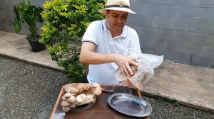 Cultivar cogumelos shitake em casa