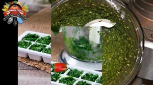 Как сохранить зелень на зиму: самые простые способы!