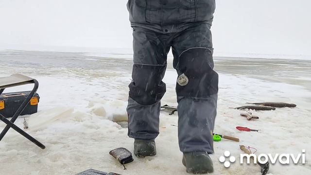 РЫБАЛКА У ЧЕРНОЙ ДЫРЫ. ПЕРВЫЙ ЛЁД.ЧАСТЬ ВТОРАЯ побит рекорд по лову смотреть онлайн