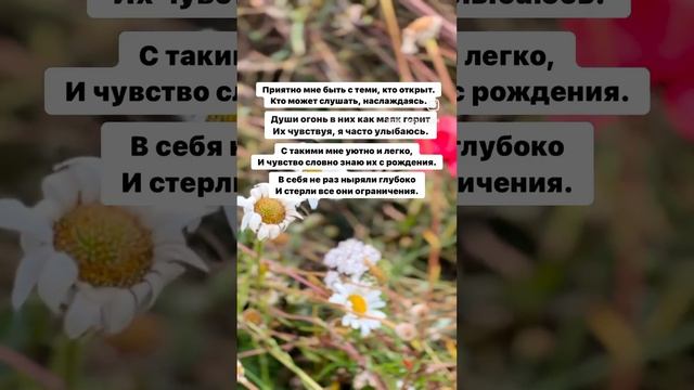 Мои люди ❤️✨ Эти строки для вас! смотреть онлайн