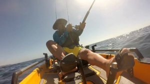 Yellowtail Kayak Fishing w/ Sea Samurai at La Jolla 2019-09-07