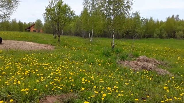 Уехали Из Города / Оставили Бизнес / Выращиваем Коз смотреть онлайн