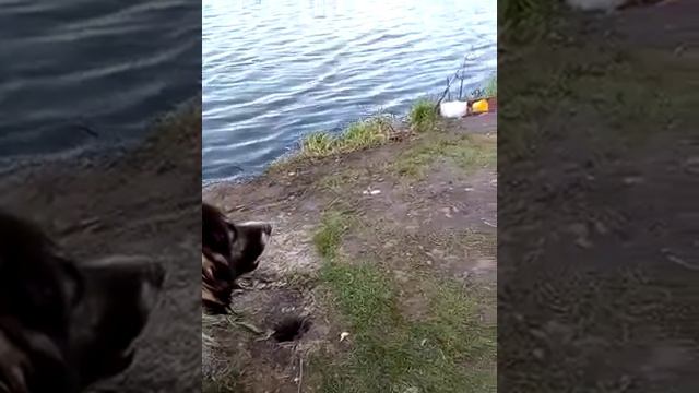 прогулка на природе 3
