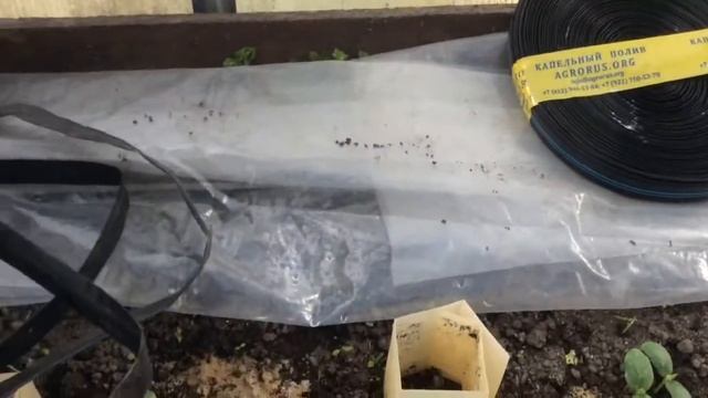 Ранний урожай огурцов по финской технологии часть 1