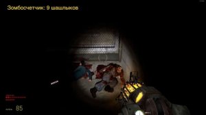 Жарим зомби для ачивки Зомби-кью в игре Half-Life 2: Episode One