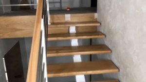 Лестница на Моно/центральном косоуре