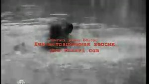 Морские дьяволы смерч: кот и мура
