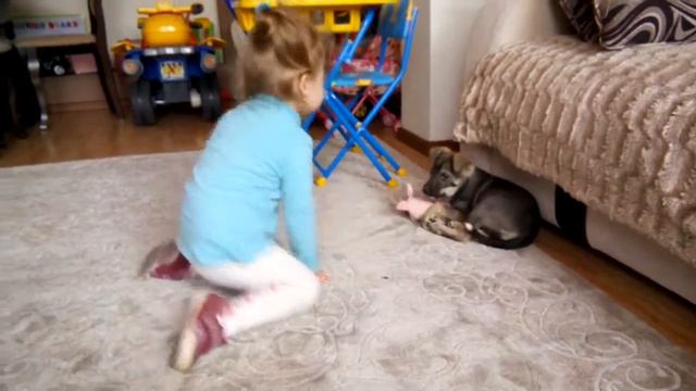 Не поделили игрушку смотреть онлайн