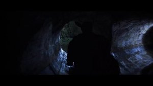 Гарри Поттер и Тайная Комната (Гарри убивает Василиска)