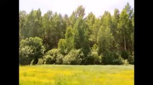 Илһам Шакиров   Ак Калфак - 1