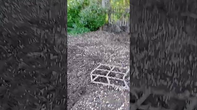 овощи посадка редисьпока обороной картоп пройдем друзья