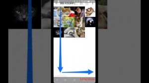 Как быстро отключить Talkback