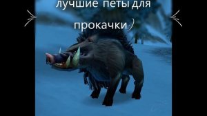 Таланты охотника для соло прокачки в World of WarCraft Classic