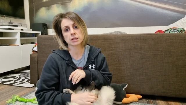 Злючка - Змеючка и рассуждение об обучаемости смотреть онлайн