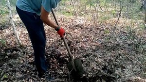 Копаем чермет Анна Юрьевна в ударе! Minelab GO-Find 11.mp4