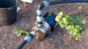 Дождеватель aquapulse ap-3005 и насос leo 775313 в работе.