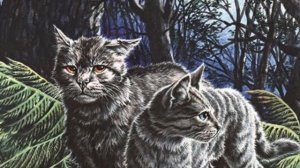 Факты о Крутобоке|«Коты-Воители»