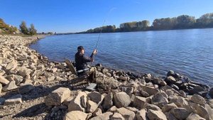 Фидерная рыбалка с красивыми поклёвками!!! Сезон крупной плотвы на фидер!